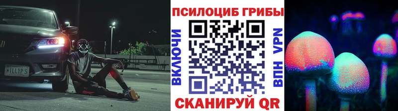 мега онион  Гусь-Хрустальный  Псилоцибиновые грибы мицелий 